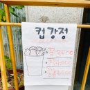 쏙만두&닭강정 | 인천서구청맛집 쏙만두&닭강정 명품만두 맛보다