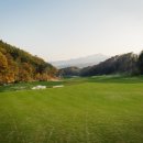 샤인데일 골프&리조트 이미지