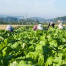 남원정통추어탕 이미지