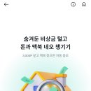카카오페이 숨겨둔 비상금 털고 돈과 맥북 챙기기 이미지