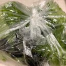 둥지농장 | 신선함이 남다른 둥지농장 그린핏 GAP 유러피안 샐러드 상추 1kg 후기