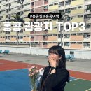HONG CAR | 홍콩섬 홍콩 관광지 추천 TOP3 : 홍콩 초이홍아파트 디즈니랜드 피크트램과 빅토리아하버 | 홍콩 3박4일...