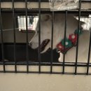 레인 켄넬 이미지