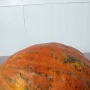 삼아슈퍼 이미지