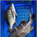 뚜루실내낚시 이미지