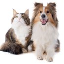 하이 동물병원 이미지