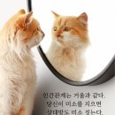 인간관계는 거울과 같다.-벤자민 프랭클린 이미지