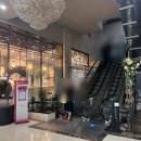 로운아트홀 | 사카구치 켄타로 팬미팅 후기 / 로운아트홀 A구역 시야