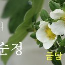 금당농장 이미지