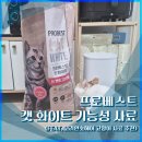 베스트헤어 | [내돈내산] 프로베스트 캣 화이트 기능성 사료 (feat. 코리안숏헤어 고양이 사료 추천)