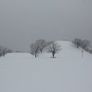 봉황대가든 이미지