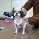 SK주유소 이미지