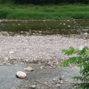 별다리 캠핑 이미지