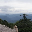 태백산맥 이미지