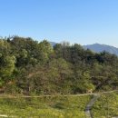 더나농장 이미지