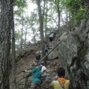 야생동물 흔적 티스토리
