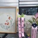 로틸리아 이미지