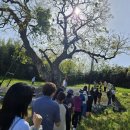 평화의 춤 이미지