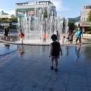 정관 돌고래광장 이미지