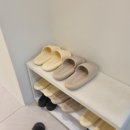 ㈜강릉식자재마트 | [강원/강릉] 강릉 속눈썹펌 맛집 추천 '라인브로우' 손상없이 뚜렷한 펌 완성