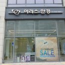 제주 이리스 | 여름휴가때 쓸 선글라스 구매! 송도안경 이리스안경