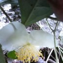 산골나들이 이미지