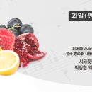 비바체 이미지