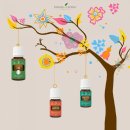 영파워 코리아 이미지