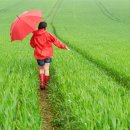 오늘의 파스타 이미지