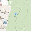 영종 둘레길 - 백련산 벚꽃 산책길 이미지