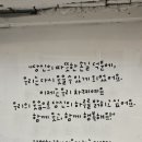 자주적관람 이미지