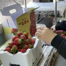 들말농장 이미지