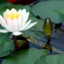 즉연농장 이미지