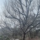 용봉산자연휴양림 이미지