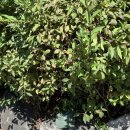 썬레저텔 이미지