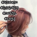 진진헤어 이미지