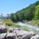 평창동강로 이미지