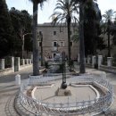 바다의별 이미지