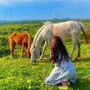 명석목장 이미지