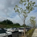 (주)코스트코코리아 청라점 이미지