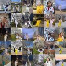 경희대 승리 태권도 이미지