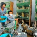 청해축산 이미지