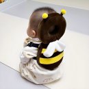 아가드 유아용 아이쿵 머리보호대, 꿀벌, 1개 사용 후기