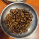소문난뽈살구이 | 목포맛집 대천에서 공수해오는 신선한 해산물 소문난조개구이 재방문후기