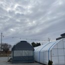 (주)기계주유소 | 충남 홍성 캠핑굄성 키즈캠핑장 개별화장실 가든존 G1 방문후기