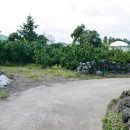 신풍리경로당 이미지