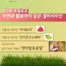 이든네이처일산백석지사