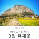 제주키즈펜션 개구리펜션 이미지