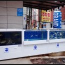 마산초장 이미지