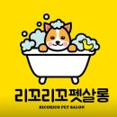 리꼬리꼬펫살롱 이미지